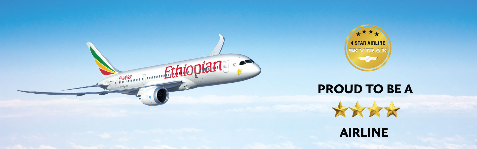 Ethiopian-Airlines Executive profile