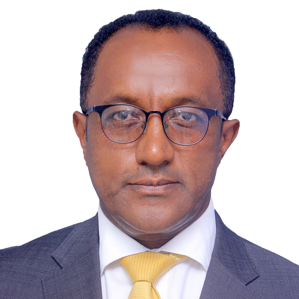 Mr Mesfin Biru