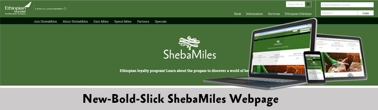 ethiopian shebamile-website